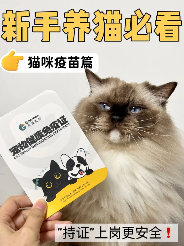 新手养猫必看！猫咪疫苗科普