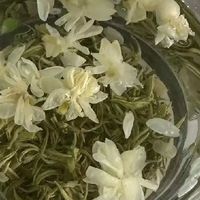 景福山茉莉龙珠，七窨花香太绝了