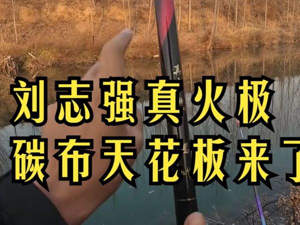 刘志强真火极7.2米国产碳布天花板高颜值全涂装小综合鱼竿 #钓鱼的乐趣只有钓鱼人懂 #原来.....