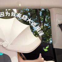 澄：再也不用过车里打伞的日子了！