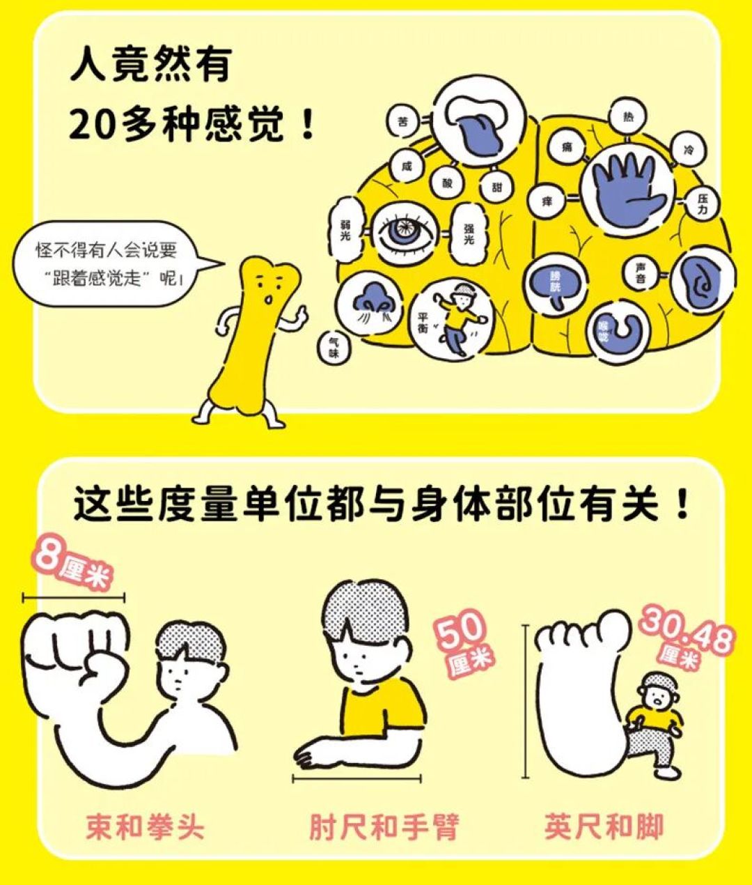 丹妈推荐!小学生追着读:上市狂销1万册的科普书续集来了!