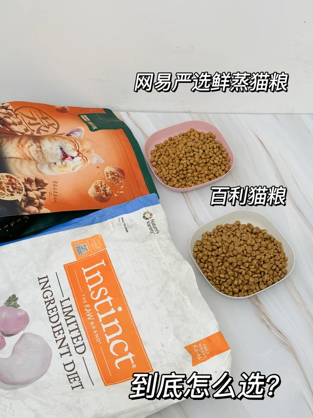 👀新手必看!脆弱猫咪的天选猫粮👉