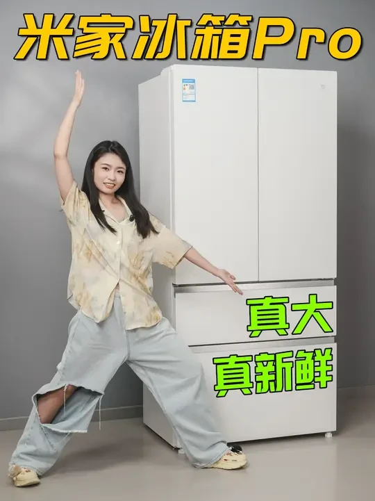 一台大大大冰箱，终于实现了办公室冰阔落自由！