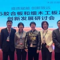 耀东华共话胶合板与细木工板高质量发展新路径