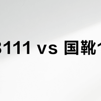 红翼8111 vs 国靴1907？旧化党实测对比，谁更值得入手