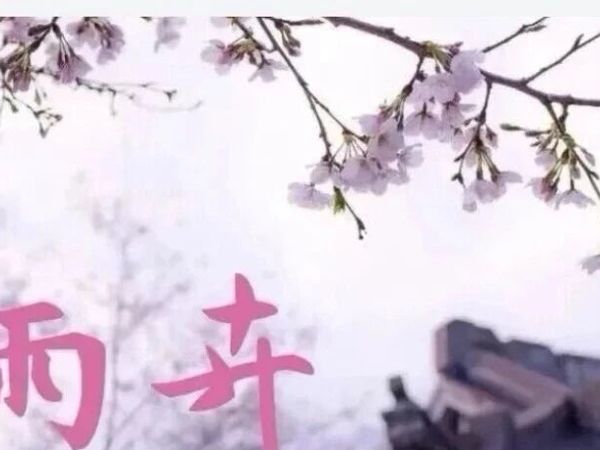 自用护肤品推荐