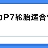 倍耐力P7轮胎适合性能车吗？532+用户真实观点大PK