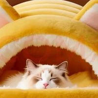 双十一购猫窝，温暖主子一冬