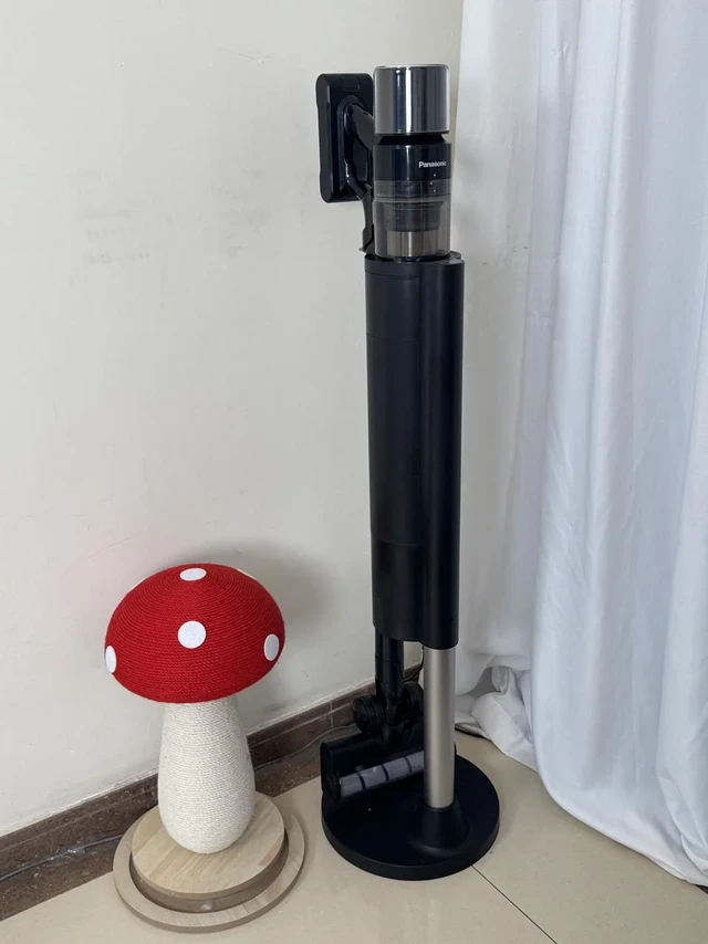 到底什么样的自集尘吸尘器才好用啊？