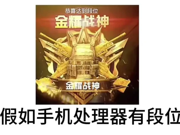 假如手机处理器有段位，你们的是什么段位 #手机 #手机处理器 #拍机堂淘机