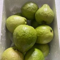 广西软糯红心芭乐：一口沦陷的胭脂甜糯，5斤整箱新鲜直达