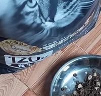 双十一养宠囤货封神！金多乐鸽肉冻干猫粮，猫咪狂炫不停