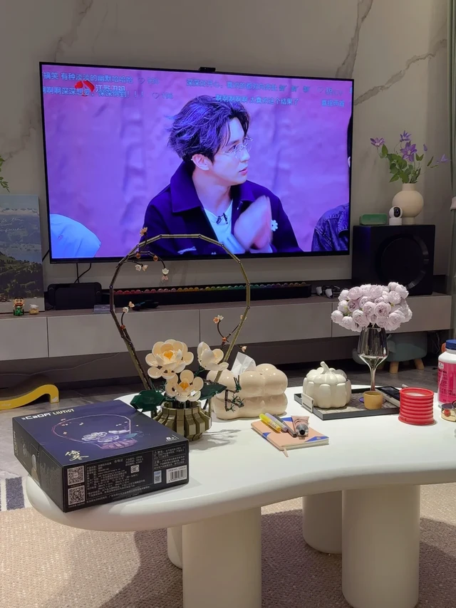 有这样的家，根本不想出门