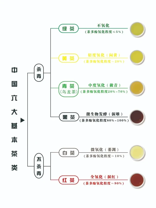 茶控必备！六大茶类超清晰分类表📚