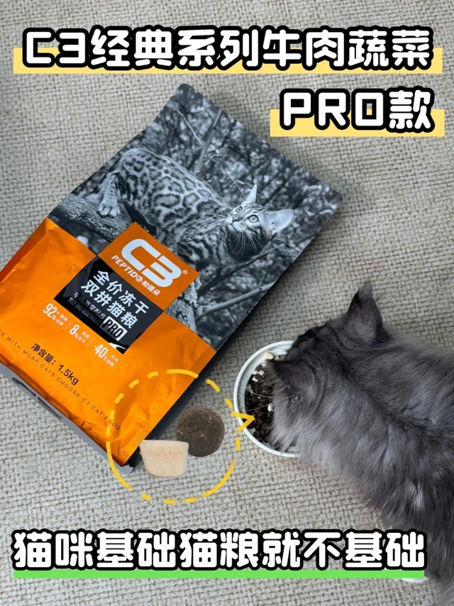 猫咪基础，猫粮就不基础
