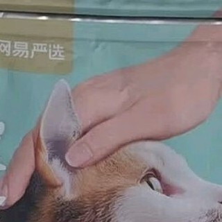 网易严选猫粮治好了我家猫的玻璃胃