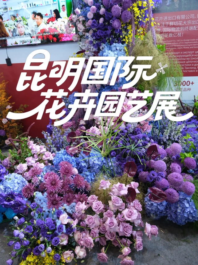 来一饱眼福花卉展的鲜花&园艺工具分享