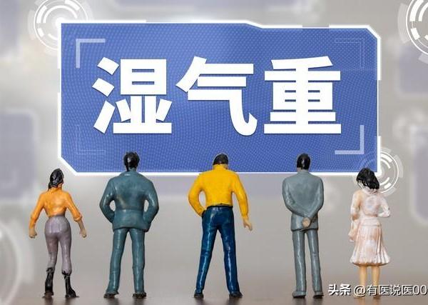 湿气重治不好？老中医：寒湿找藿香、湿热用二妙，寒热夹杂有妙招