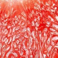 壹棵弘芯特选红心蜜柚，一口邂逅自然甜蜜