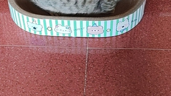 双十一养猫必囤！嬉皮狗椭圆猫抓板拯救我的沙发