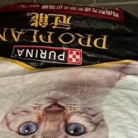 拆箱评测：冠能猫粮的亮点与试吃