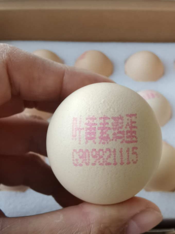 喵满分蛋类