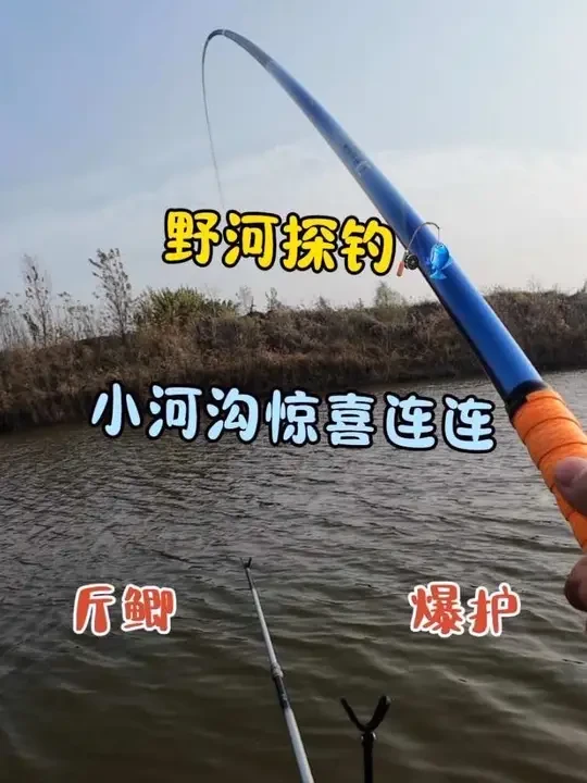 秋冬季小河沟鱼货满满#收到了冬天的第一根鱼竿 #原来钓鱼才是抖音运动顶流 #爱生活爱钓鱼 #汉鼎一号六代 #汉鼎真材实料放心入