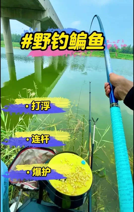 第17集  野钓鳊鱼红眼（赤眼鳟），野钓技巧玉米配合饵料打窝嫩玉米钓效果非常好用，带饵调漂三目钓三目，又连杆了。@汉鼎官方旗舰店 @汉鼎品牌创始人：汉鼎黑哥 #钓鱼的快乐谁懂  #dou是钓鱼人 #2