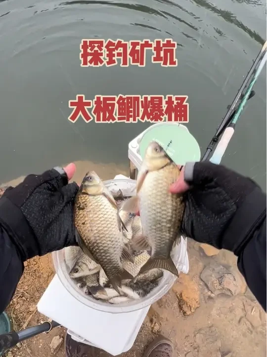 探钓临沂罗庄矿坑大板鲫连杆爆桶#钓鱼的乐趣只有钓鱼人懂 #汉鼎一号六代  #汉鼎真材实料放心入  #来场金秋钓鱼局 #鲫鱼霸窝 @汉鼎官方旗舰店