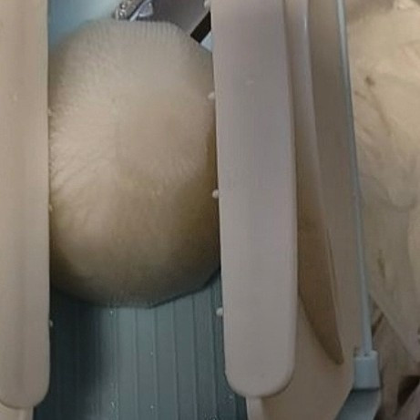 龙江多功能擦丝器：家用商用双适配，不伤手切菜神器
