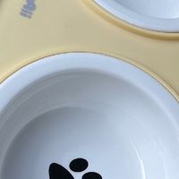 双十一养宠必入！波奇陶瓷双碗让猫咪吃饭更优雅