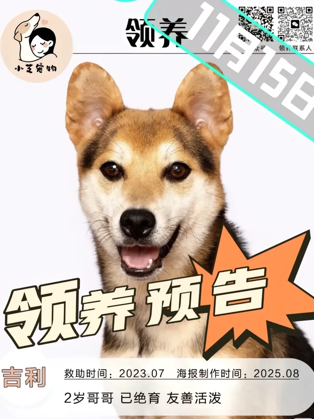 11月15日领养预告。#领养代替购买 #上热搜 #原创视频 #公益 #公益正能量 @深圳小芝领养中心 
这个周六，就在天安云谷1期3栋2楼广场，不仅可以免费撸到超多
可爱修狗和喵星人，还能亲手为它们画
