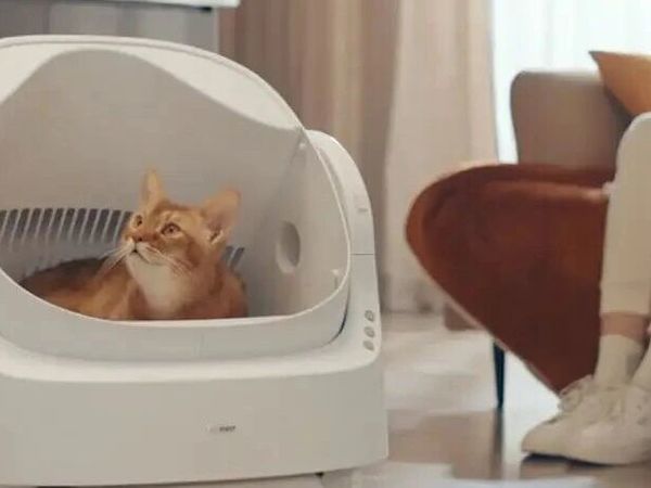 7 个月卖 2 亿！宠物用品不靠广告刷爆 TikTok