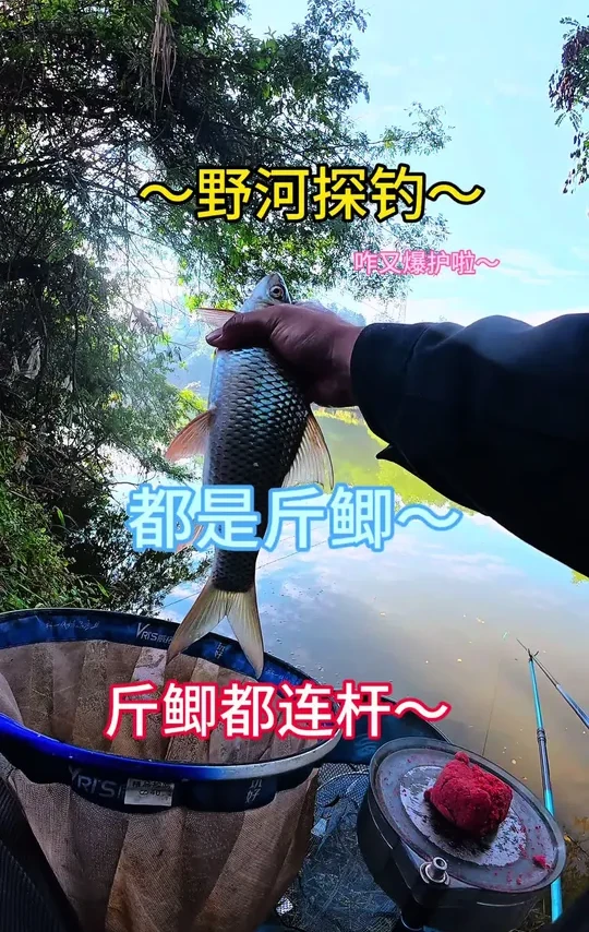 跟着老表走,爆护少不了~#原来钓鱼才是抖音运动顶流 #今晚吃鱼 #喜马罗夜光漂 #汉鼎一号六代 #汉鼎真材实料放心入
