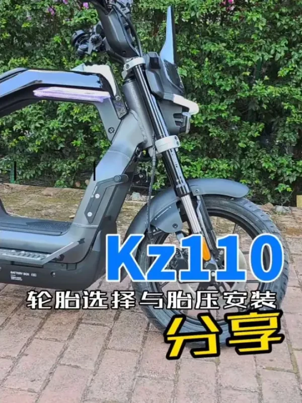 Ninebot 九号魔术师K系Kz 110 智能电动自行车TDN002Z 【报价价格评测