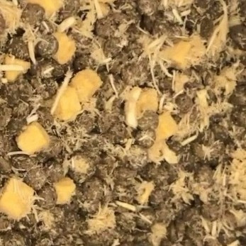 网易严选天成全价三拼犬粮营养全面