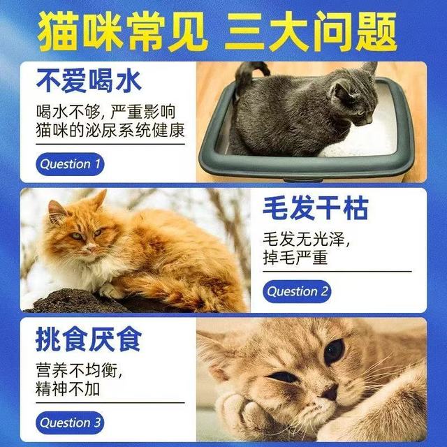 幼猫增肥补水天花板！乐乐猫罐头24罐整箱囤太香了🐱