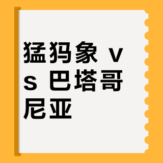 猛犸象 vs 巴塔哥尼亚？户外老炮和城市玩家的真实选择在这
