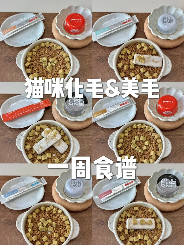 猫咪化毛一周食谱🧾拒绝暴力吐毛球