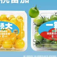 黄绿宝石番茄实测：清甜爆汁的春日小零嘴