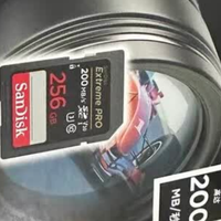 双11必入！闪迪V30 SD卡256G，抓拍4K都稳了