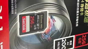 双11必入！闪迪V30 SD卡256G，抓拍4K都稳了