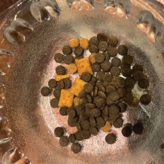 90%动物性原料，助力猫咪健康长肉