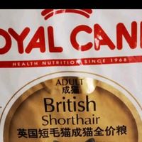 皇家BS34英短成猫粮,营养与体重兼顾