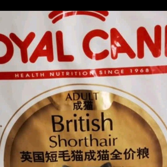 皇家BS34英短成猫粮，营养与体重兼顾