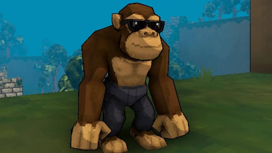 2_resized.jpg