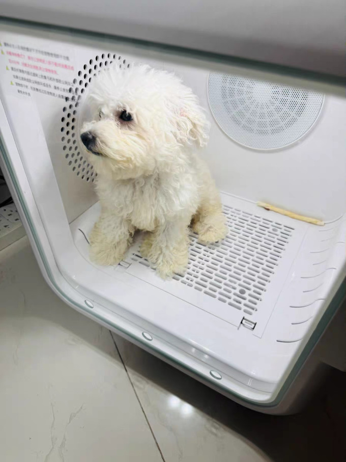 日用清洁