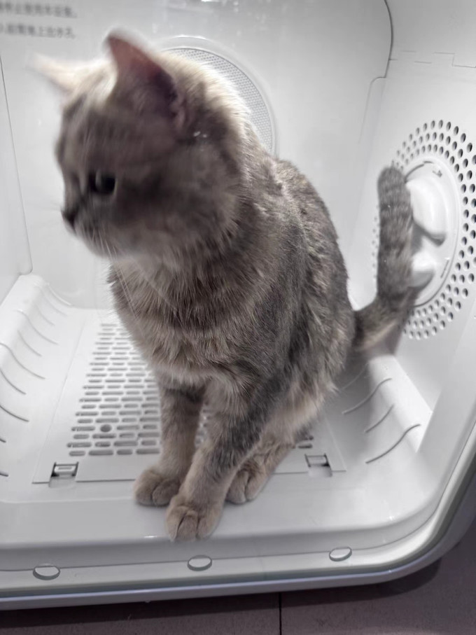 日用清洁