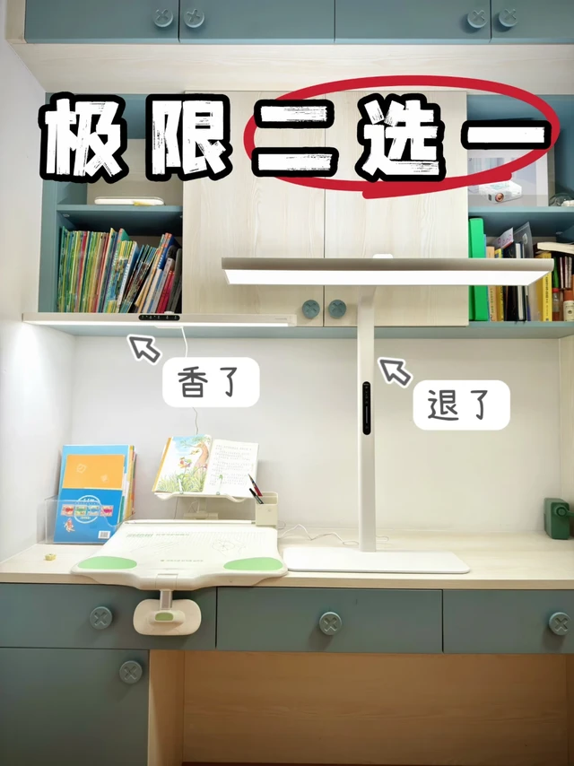 买了桌面大路灯，结果退了……