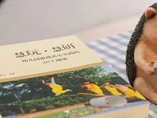 区域成果 |《慧玩·慧研：幼儿园游戏共生实践的26个现场》新书推荐